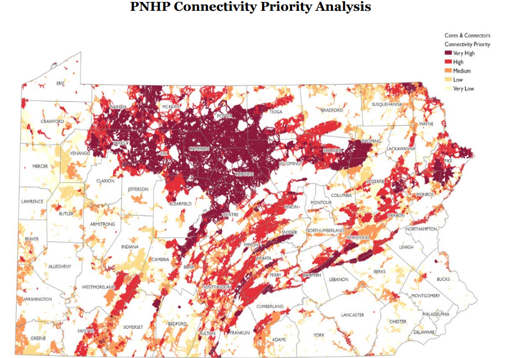 Connectivity Priority Analysis