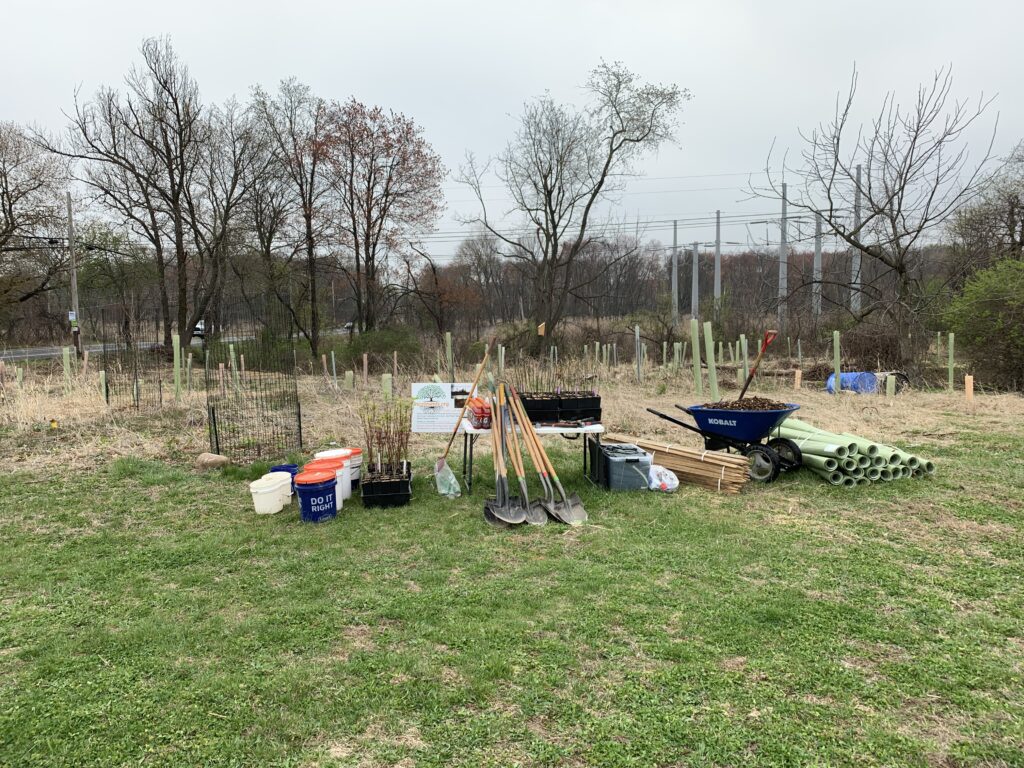 green lane spring 2026